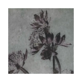 Nature Art Tile Bloem | Karen Winnubst