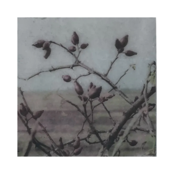 Nature Art Tile Waddeneiland 3 | Karen Winnubst