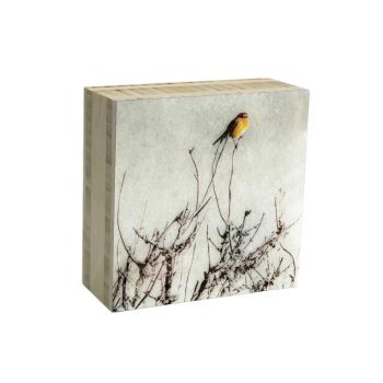 block roodborstje 08 | Karen Winnubst