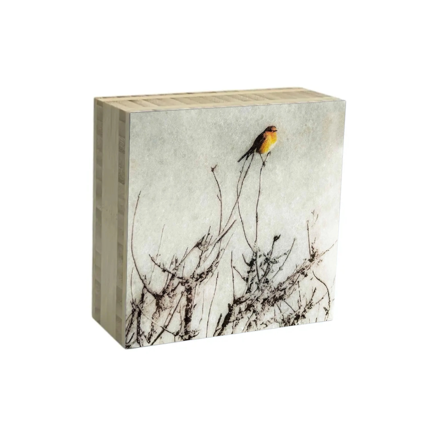 block roodborstje 08 | Karen Winnubst