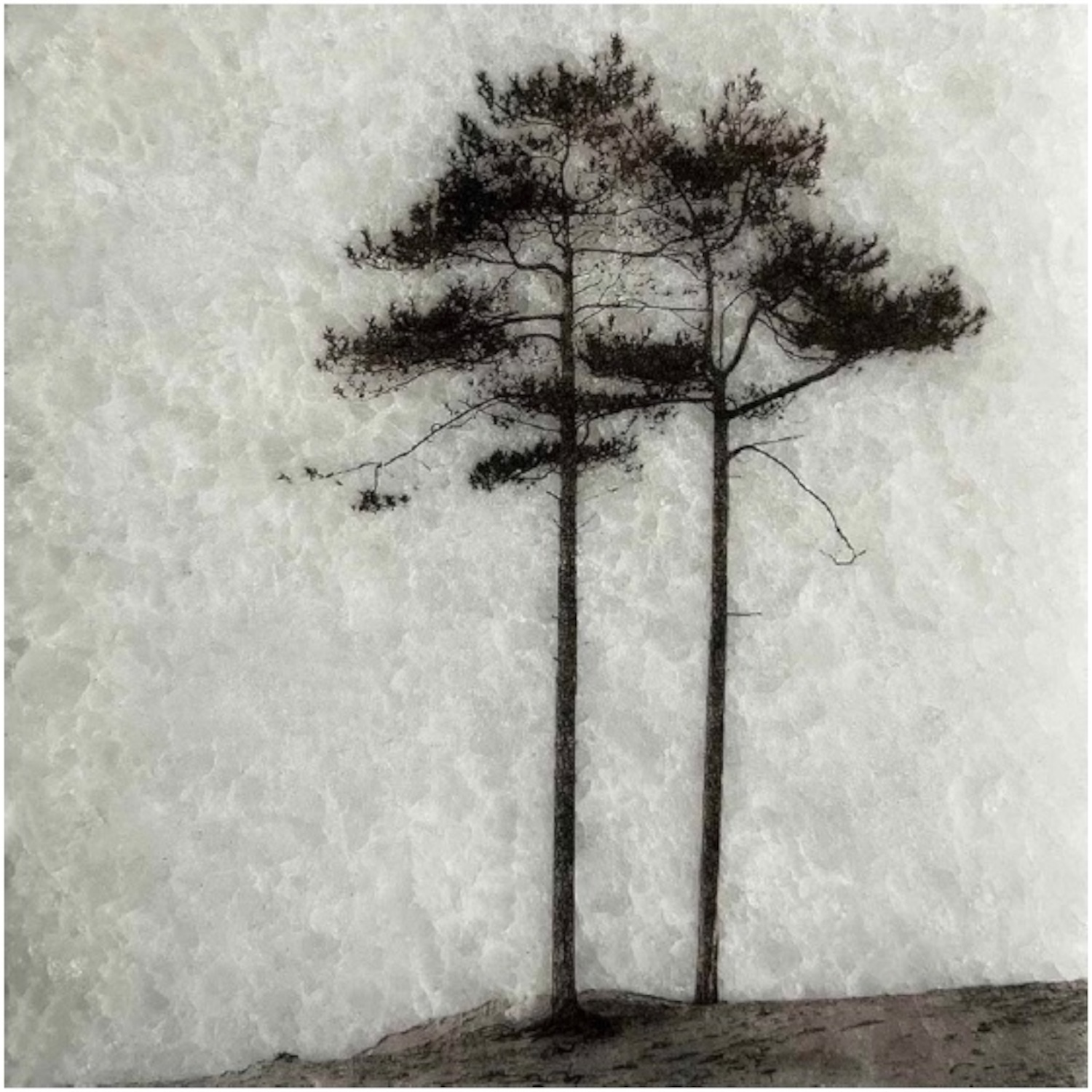 Block bomen 23 | Karen winnubust