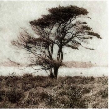 Secondary product image