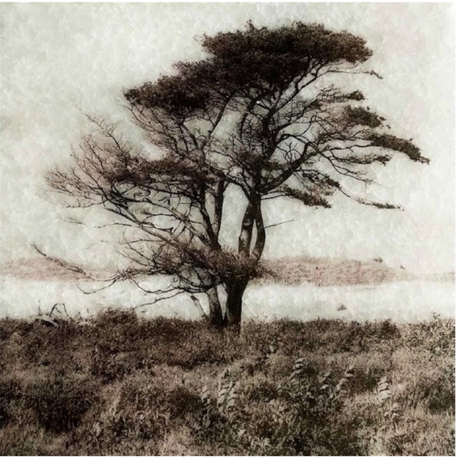 boom block 22 | Karen winnubust