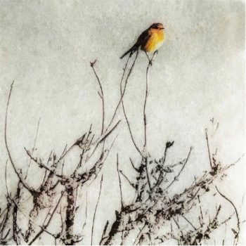 Secondary product image