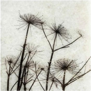 Secondary product image