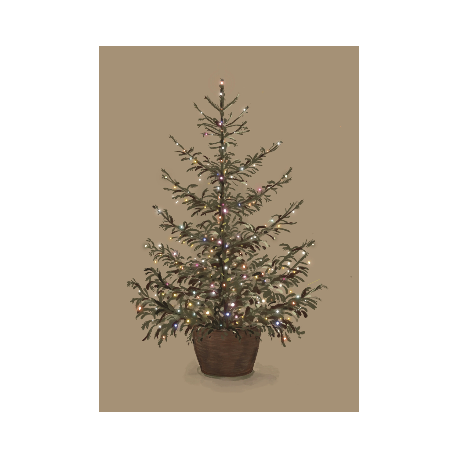 Christmas Tree Color Lights | Studio Veldman