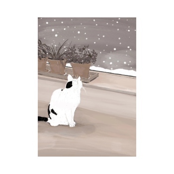 Winter White Cat | Studio Veldman