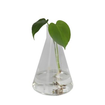 Secondary product image