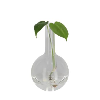 Secondary product image