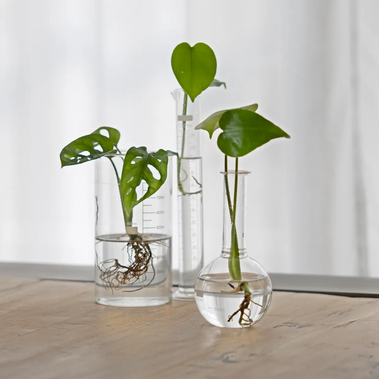 Platbodemkolf S | Esschert Design