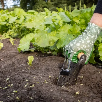 Secondary product image