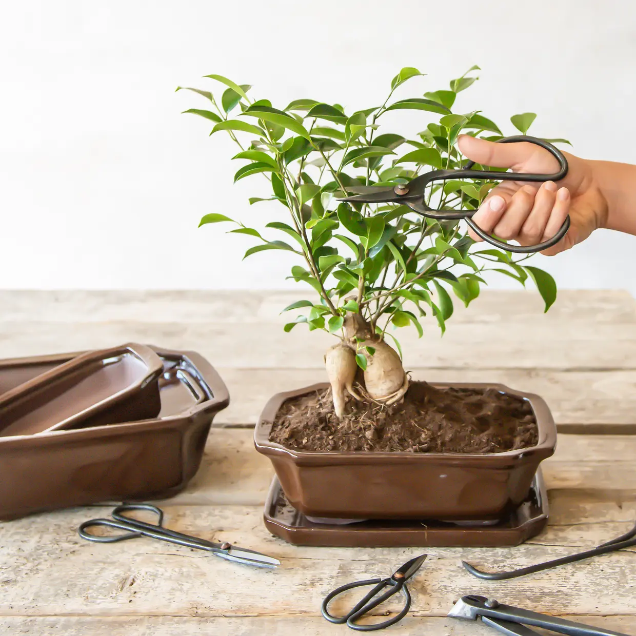 Bonsai snoeischaar L | Esschert Design