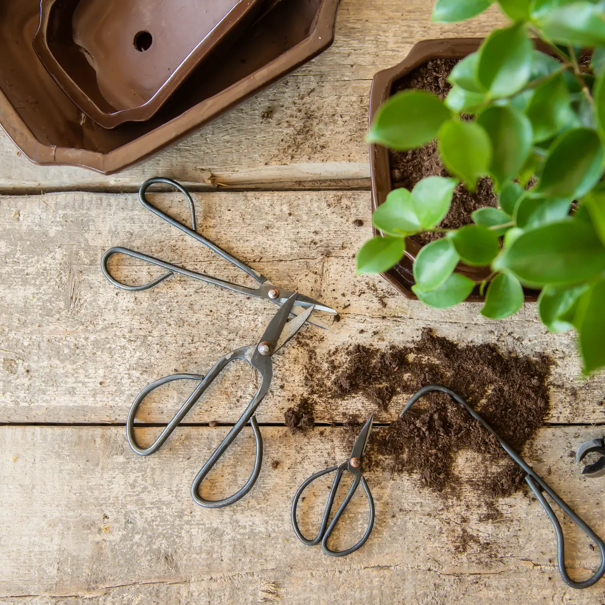 Bonsai snoeischaar L | Esschert Design