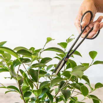 Secondary product image