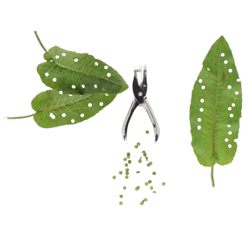 Secondary product image
