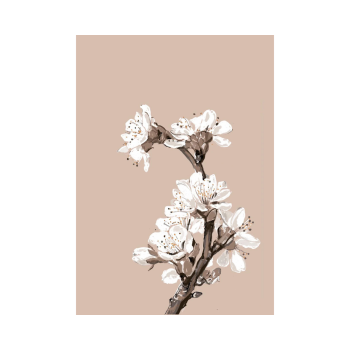 Flower Blossoms | Studio Veldman