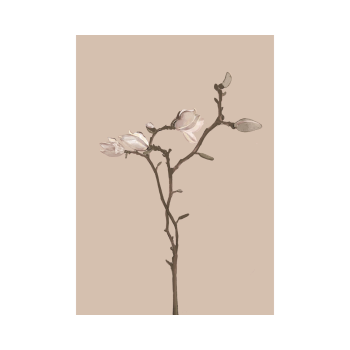 Flower Buds | Studio Veldman