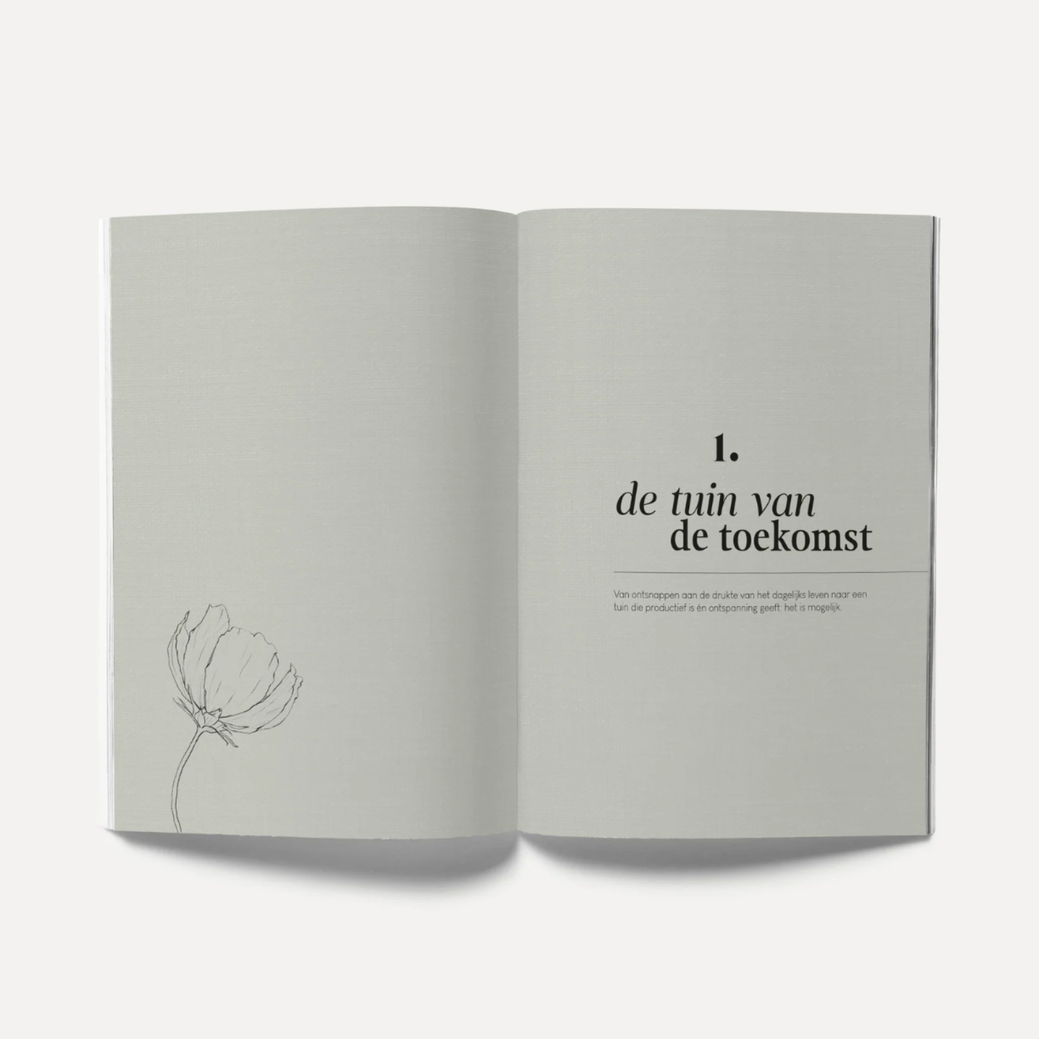 Boek 'Zelf Zaaien' - Oogst bloemen en groenten uit eigen tuin | May & June