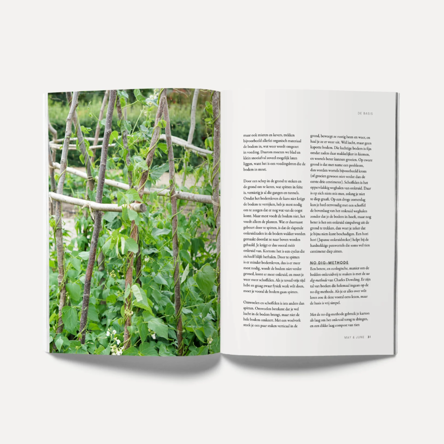 Boek 'Zelf Zaaien' - Oogst bloemen en groenten uit eigen tuin | May & June