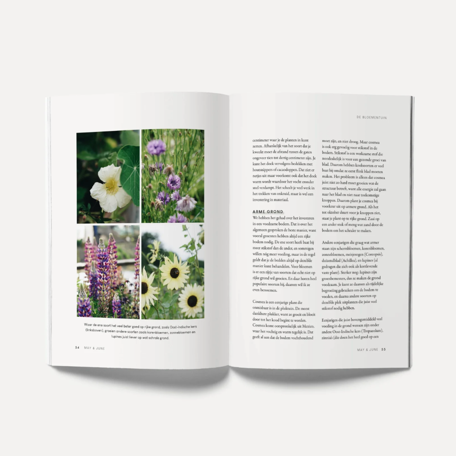 Boek 'Zelf Zaaien' - Oogst bloemen en groenten uit eigen tuin | May & June