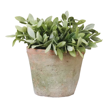 Secondary product image