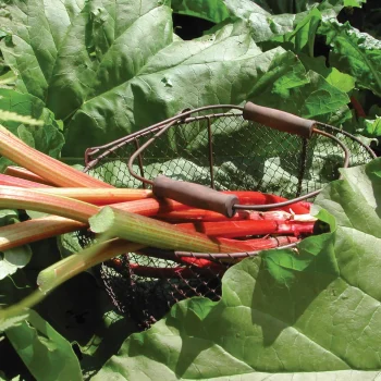 Secondary product image