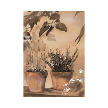 Morning Light Terrace | Studio Veldman