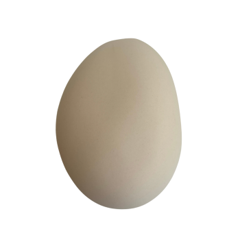 Wandvaas Creme Wit | Otchipotchi