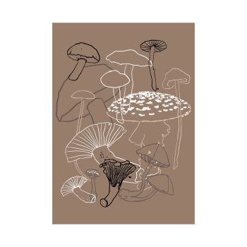Fall Mushrooms | Studio Veldman