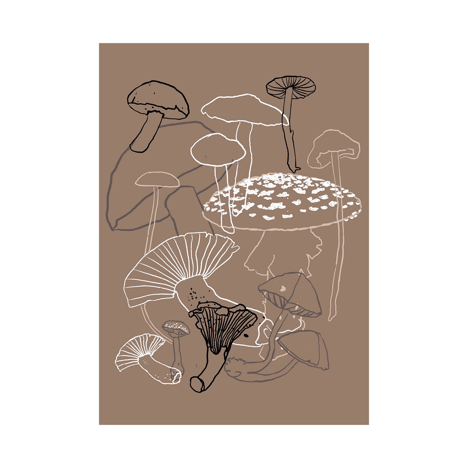 Fall Mushrooms | Studio Veldman
