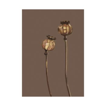Wenskaart Fall Flower Lights De Wenskaart Fall Flower Lights van Studio Veldman is een ode aan de herfst. Door de zachte aarde tinten is dit de perfecte ansichtkaart voor het najaar.