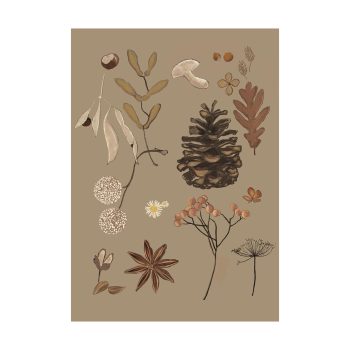 Forest Finds | Studio Veldman