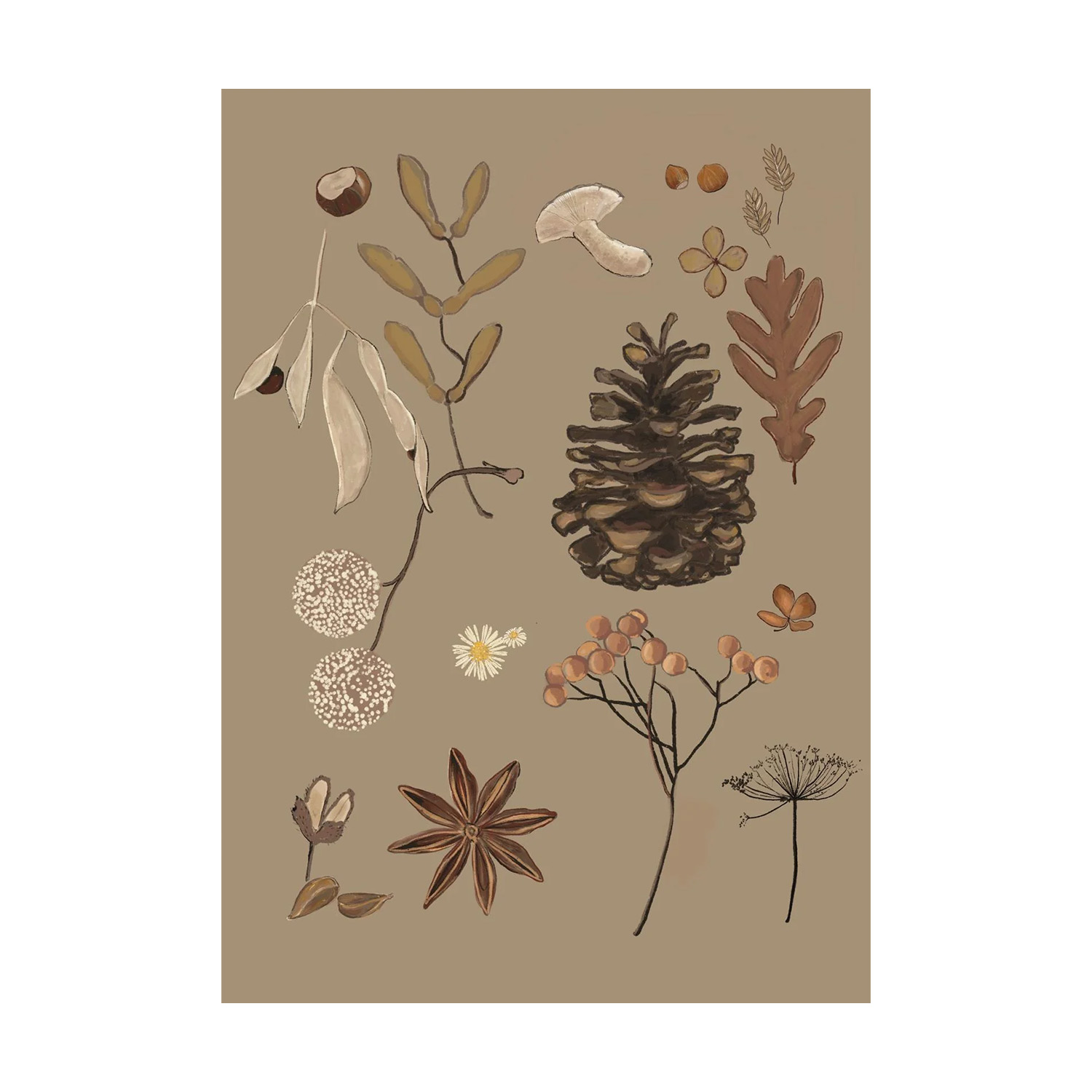 Forest Finds | Studio Veldman
