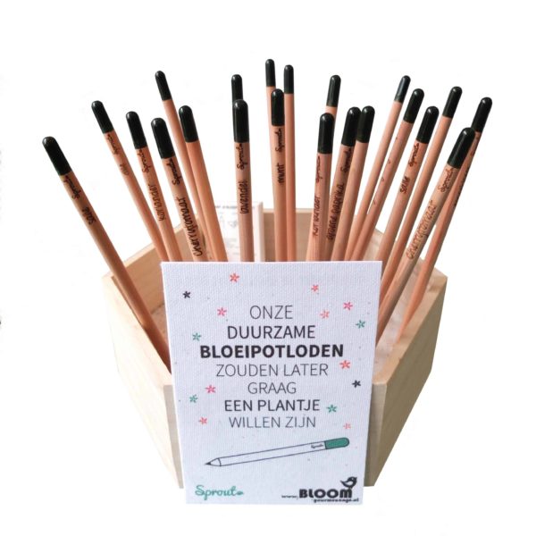 Bloeipotloden | BLOOM your message - Afbeelding 2