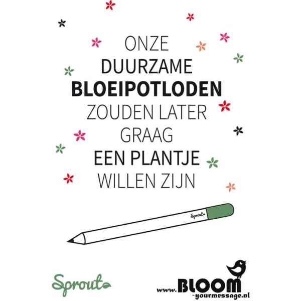 Bloeipotloden | BLOOM your message - Afbeelding 6