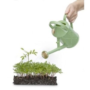 Binnengieter groen | 1 liter - Afbeelding 2